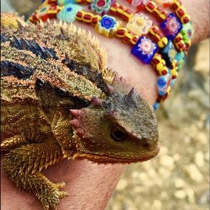 Meet your Posher, Tina